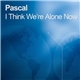 Pascal Feat. Karen Parry - I Think We're Alone Now